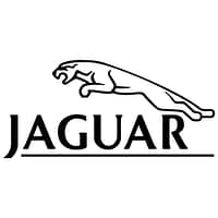 jaguar 256x256 202813